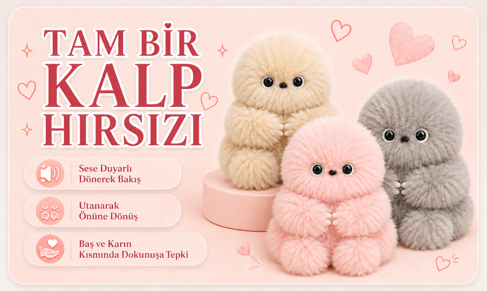Tam bir kalp hırsızı